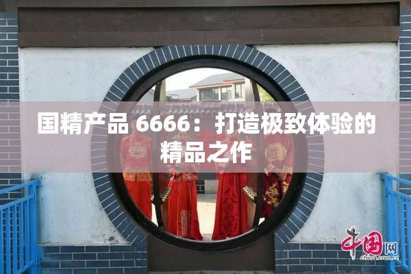 国精产品 6666：打造极致体验的精品之作