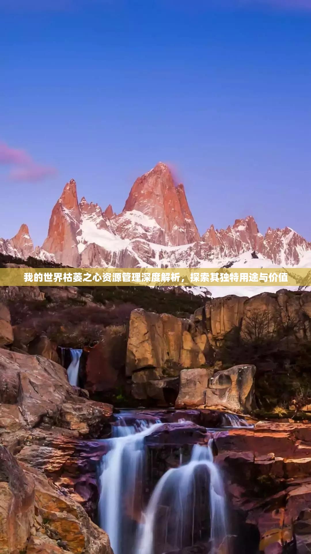 我的世界枯萎之心资源管理深度解析，探索其独特用途与价值