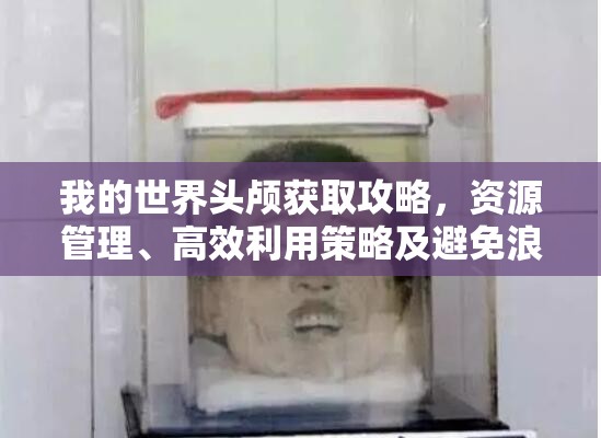 我的世界头颅获取攻略，资源管理、高效利用策略及避免浪费技巧