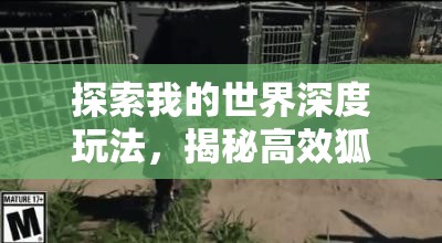 探索我的世界深度玩法，揭秘高效狐狸驯服技巧与秘籍