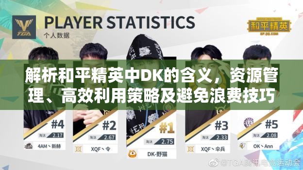 解析和平精英中DK的含义，资源管理、高效利用策略及避免浪费技巧