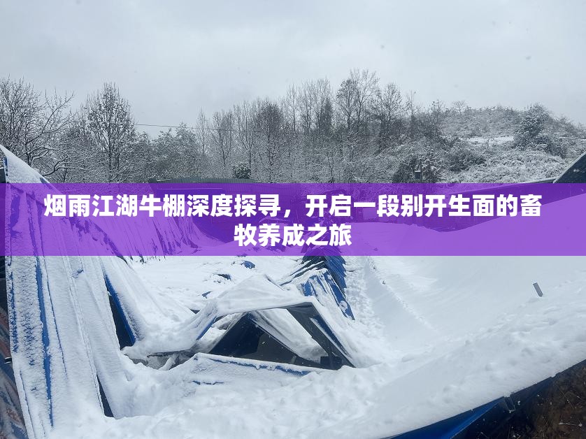 烟雨江湖牛棚深度探寻，开启一段别开生面的畜牧养成之旅