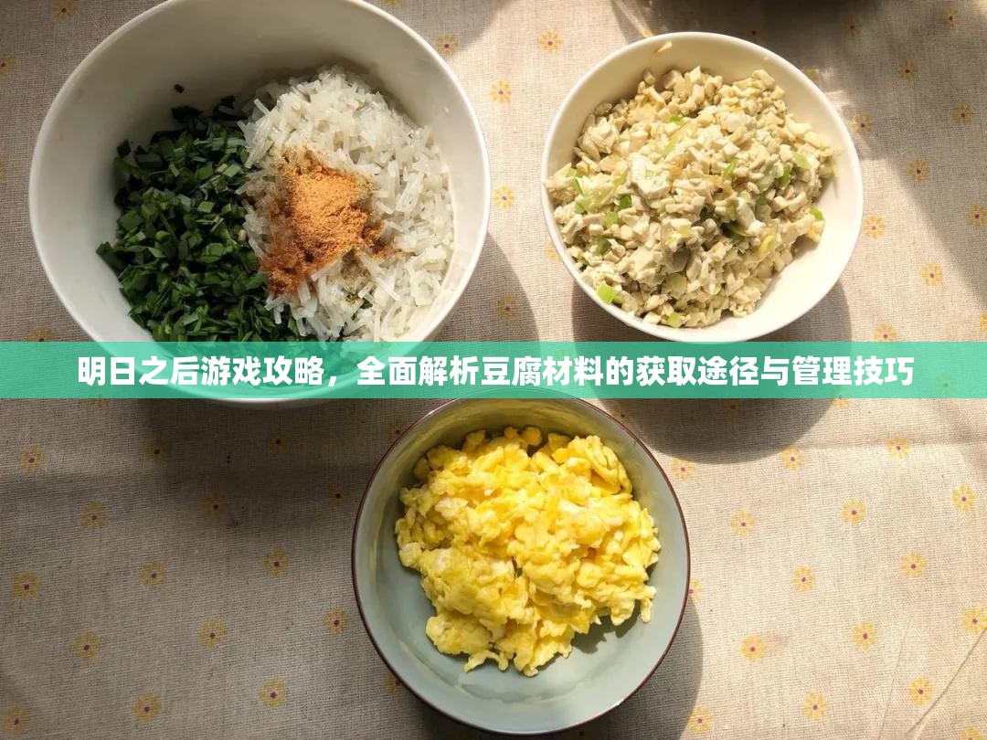 明日之后游戏攻略，全面解析豆腐材料的获取途径与管理技巧
