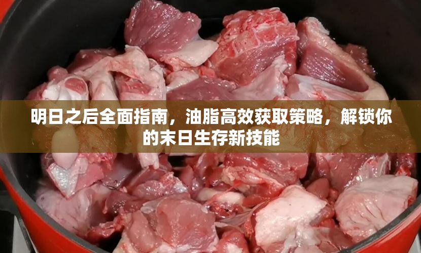明日之后全面指南，油脂高效获取策略，解锁你的末日生存新技能
