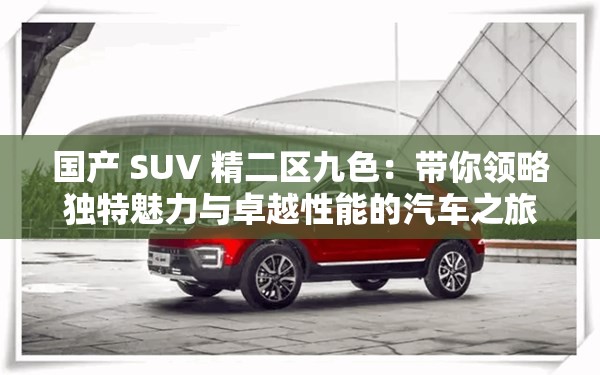 国产 SUV 精二区九色：带你领略独特魅力与卓越性能的汽车之旅