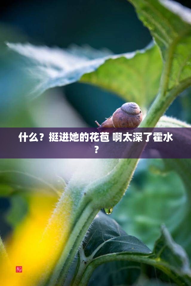 什么？挺进她的花苞 啊太深了霍水？