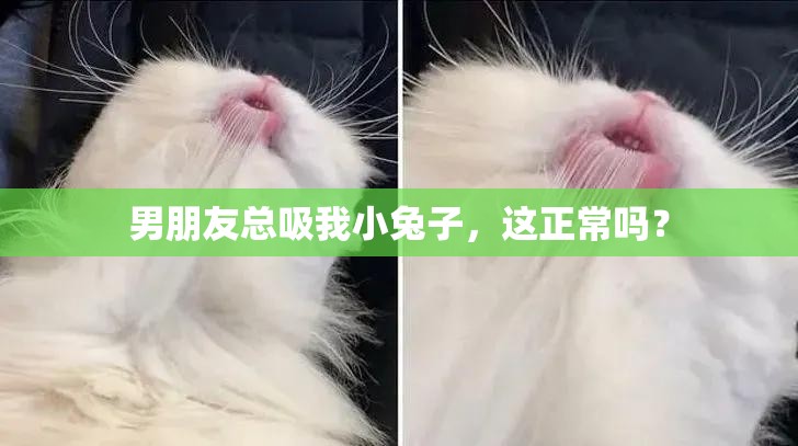 男朋友总吸我小兔子，这正常吗？