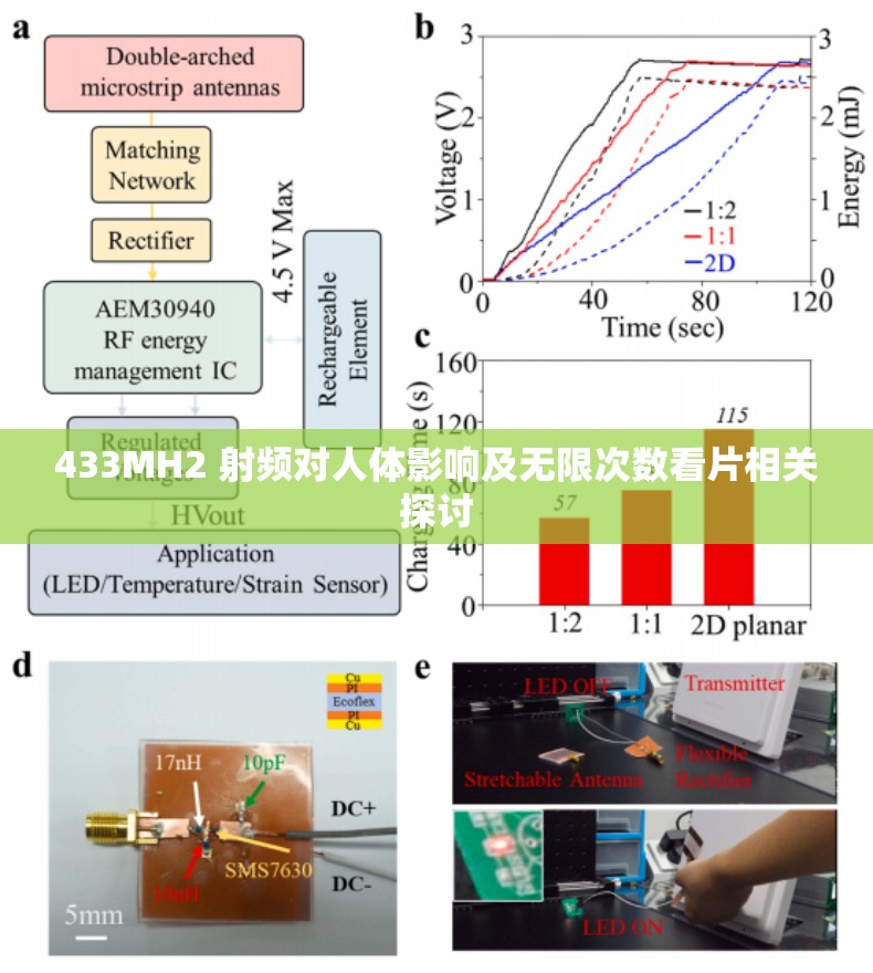 433MH2 射频对人体影响及无限次数看片相关探讨