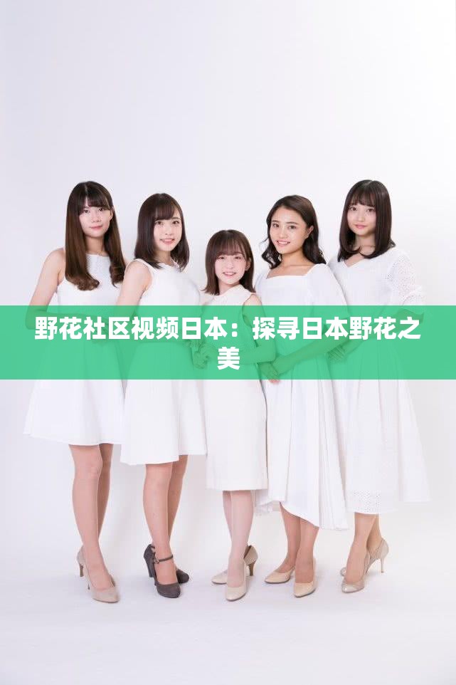 野花社区视频日本：探寻日本野花之美