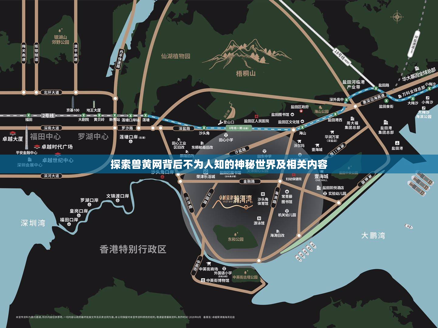 探索兽黄网背后不为人知的神秘世界及相关内容