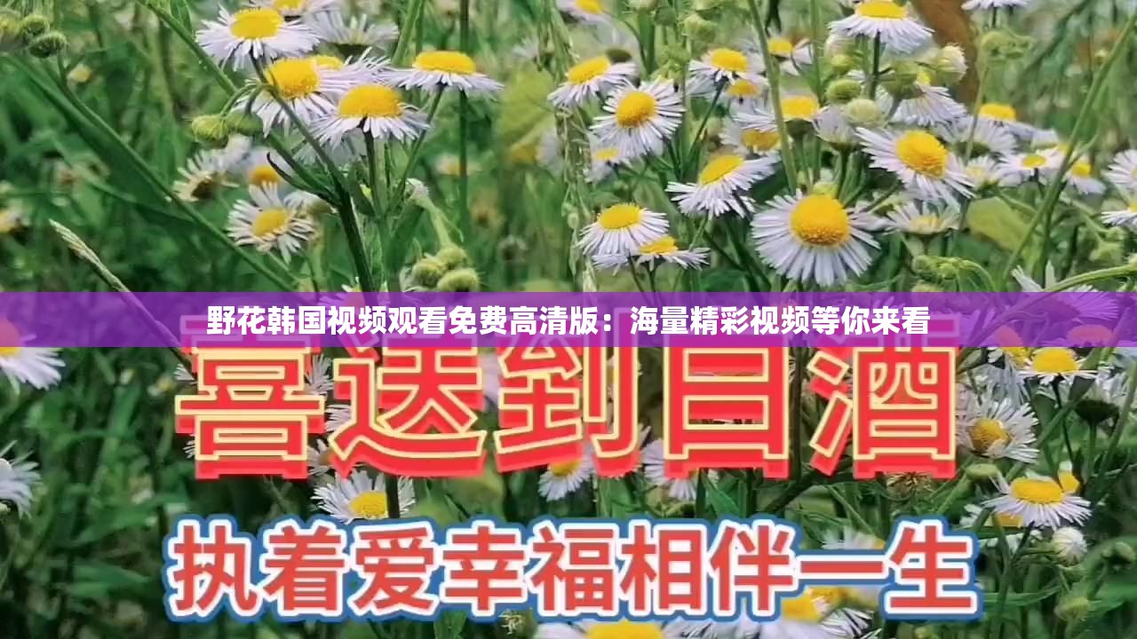 野花韩国视频观看免费高清版：海量精彩视频等你来看