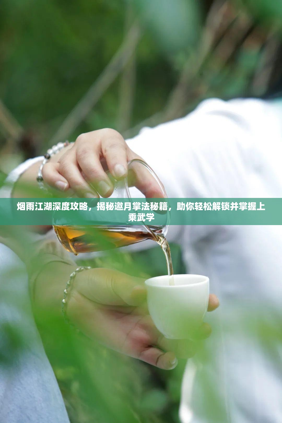 烟雨江湖深度攻略，揭秘邀月掌法秘籍，助你轻松解锁并掌握上乘武学