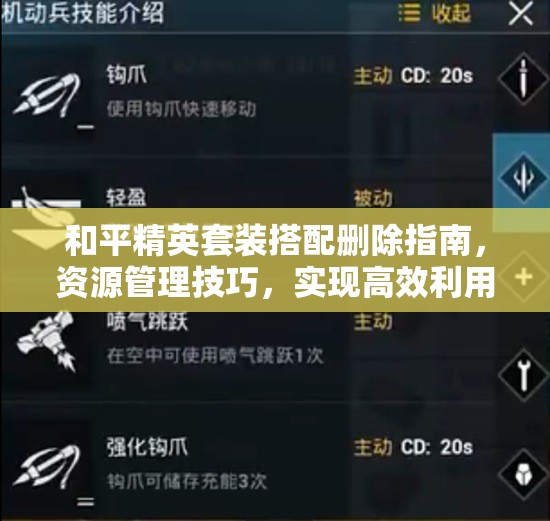 和平精英套装搭配删除指南，资源管理技巧，实现高效利用并避免浪费