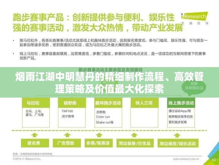 烟雨江湖中明慧丹的精细制作流程、高效管理策略及价值最大化探索