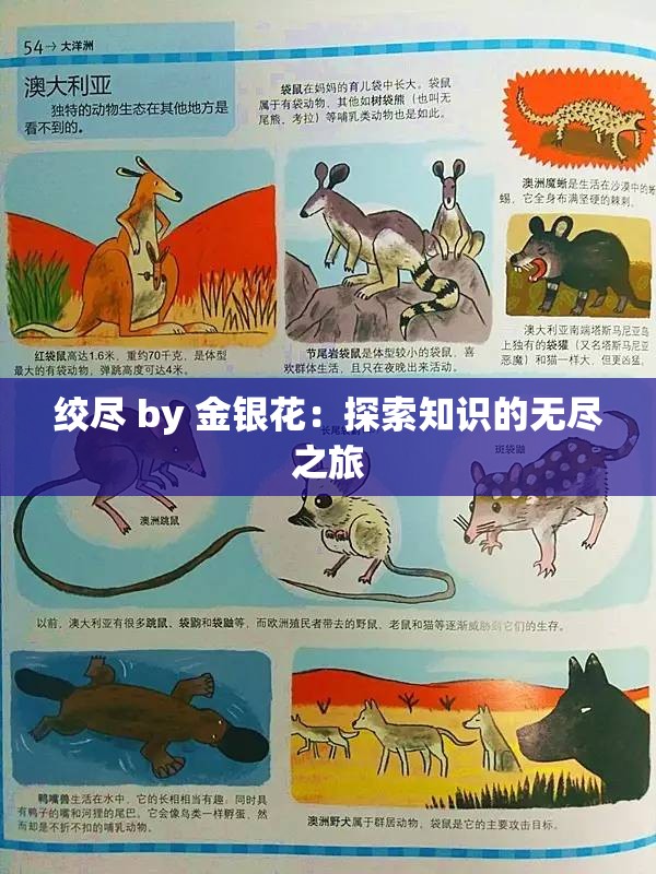 绞尽 by 金银花：探索知识的无尽之旅