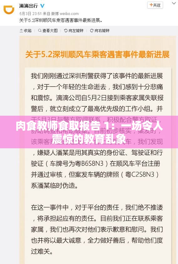 肉食教师食取报告 1：一场令人震惊的教育乱象