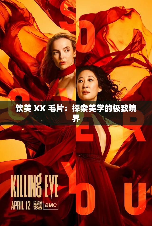 饮美 XX 毛片：探索美学的极致境界