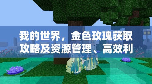 我的世界，金色玫瑰获取攻略及资源管理、高效利用与最大化价值策略