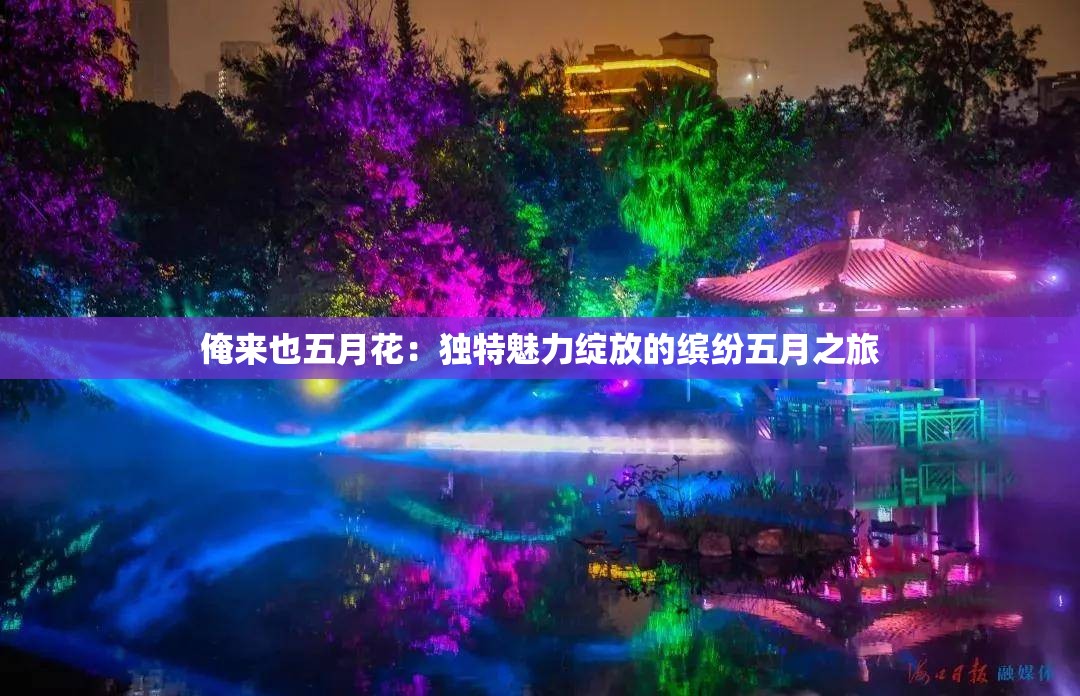 俺来也五月花：独特魅力绽放的缤纷五月之旅