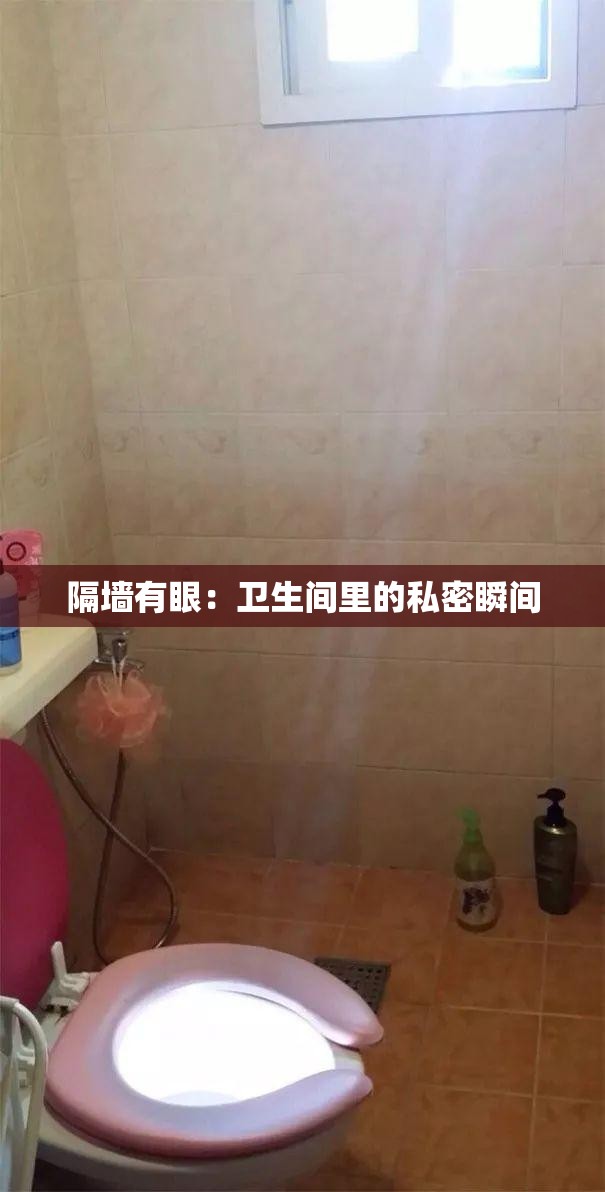 隔墙有眼：卫生间里的私密瞬间
