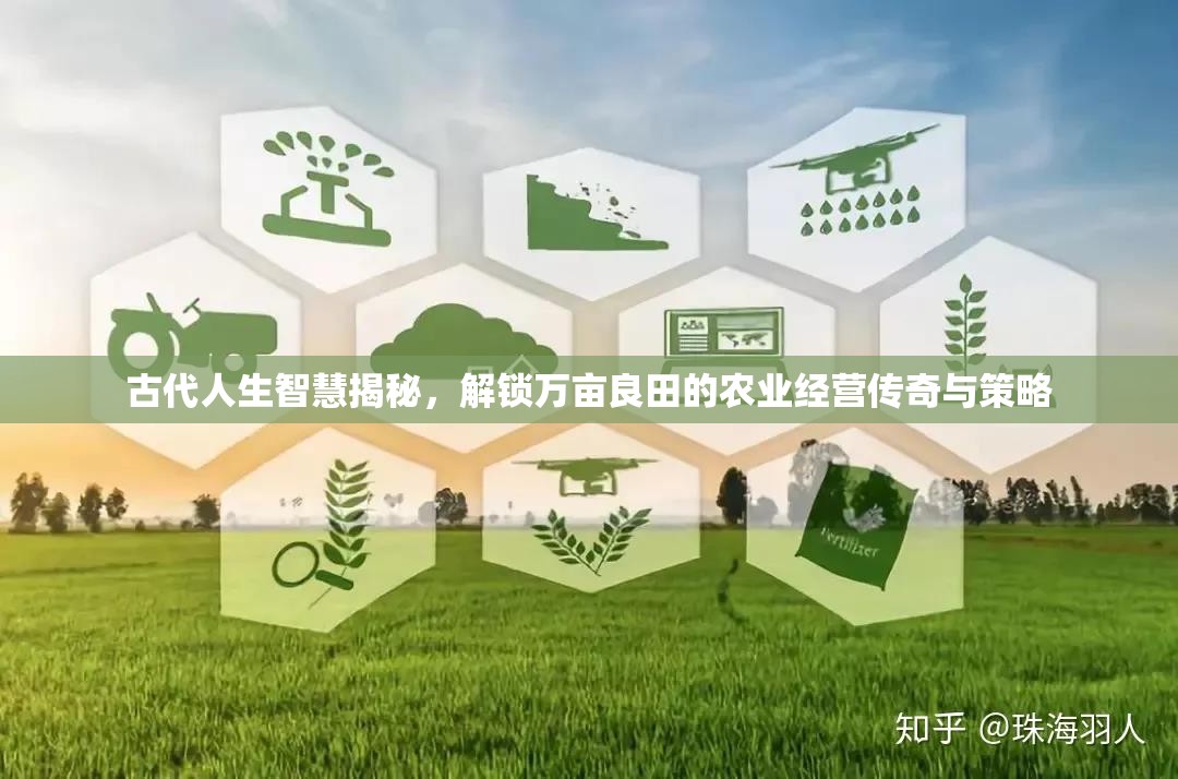 古代人生智慧揭秘，解锁万亩良田的农业经营传奇与策略