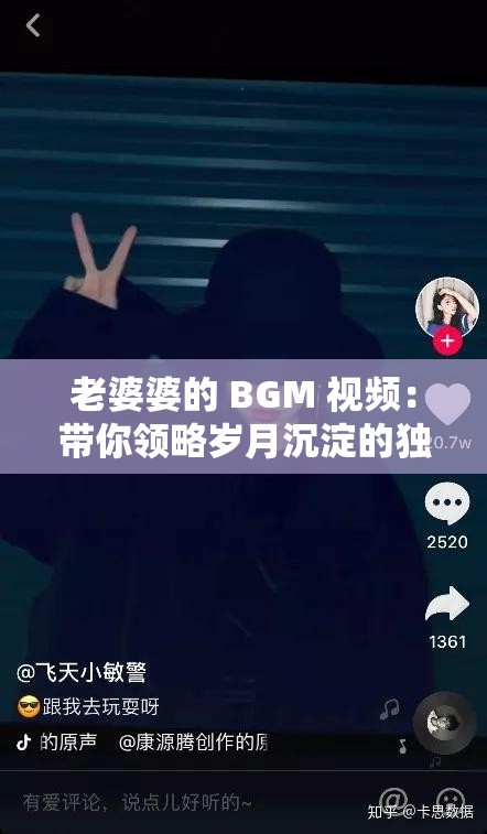 老婆婆的 BGM 视频：带你领略岁月沉淀的独特韵味