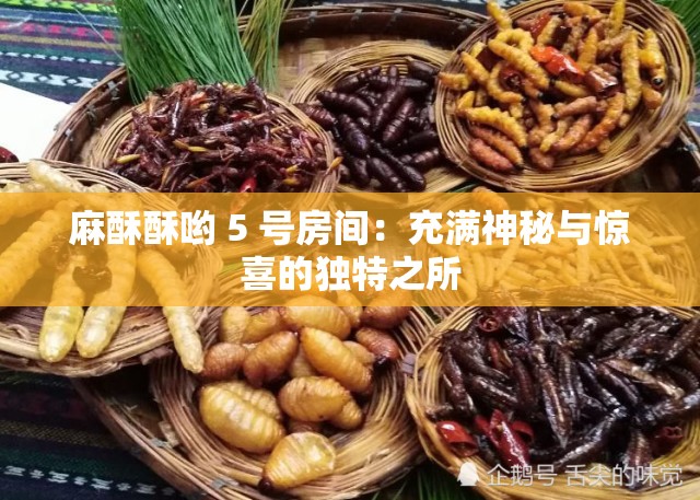 麻酥酥哟 5 号房间：充满神秘与惊喜的独特之所