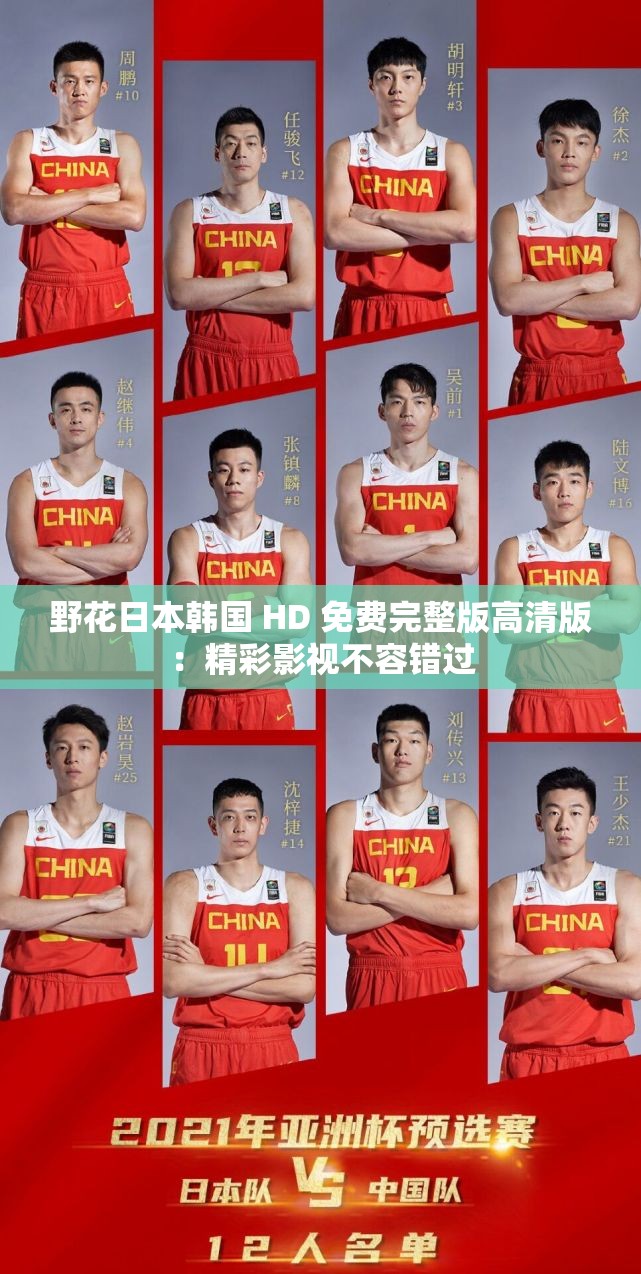 野花日本韩国 HD 免费完整版高清版：精彩影视不容错过