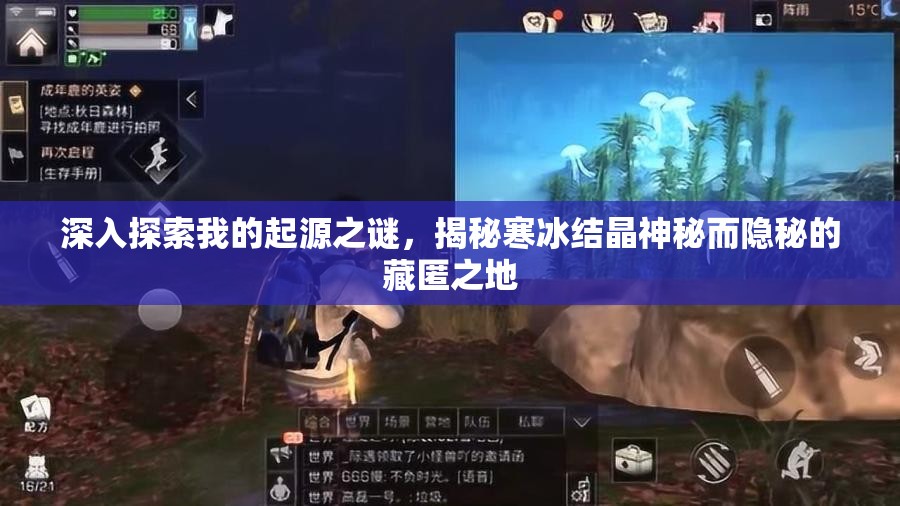 深入探索我的起源之谜，揭秘寒冰结晶神秘而隐秘的藏匿之地