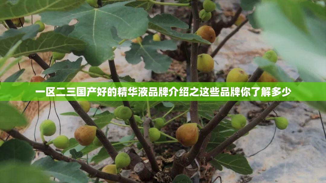 一区二三国产好的精华液品牌介绍之这些品牌你了解多少