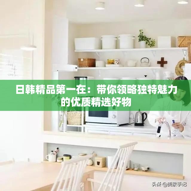 日韩精品第一在：带你领略独特魅力的优质精选好物