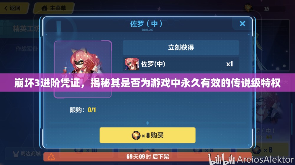 崩坏3进阶凭证，揭秘其是否为游戏中永久有效的传说级特权