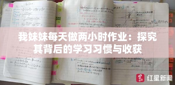 我妹妹每天做两小时作业：探究其背后的学习习惯与收获