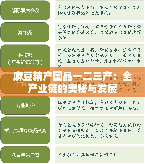麻豆精产国品一二三产：全产业链的奥秘与发展