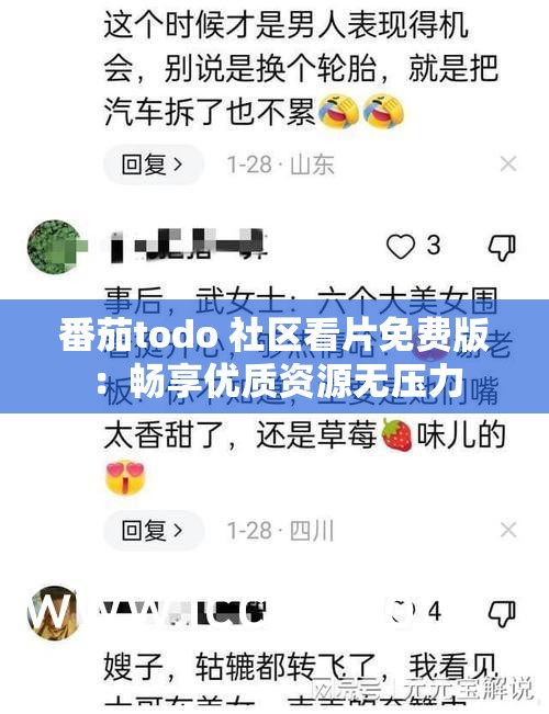 番茄todo 社区看片免费版：畅享优质资源无压力