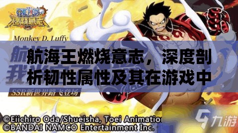 航海王燃烧意志，深度剖析韧性属性及其在游戏中的高效运用策略
