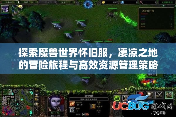 探索魔兽世界怀旧服，凄凉之地的冒险旅程与高效资源管理策略