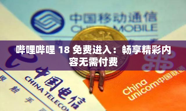 哔哩哔哩 18 免费进入：畅享精彩内容无需付费