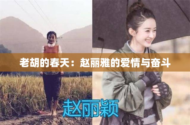 老胡的春天：赵丽雅的爱情与奋斗