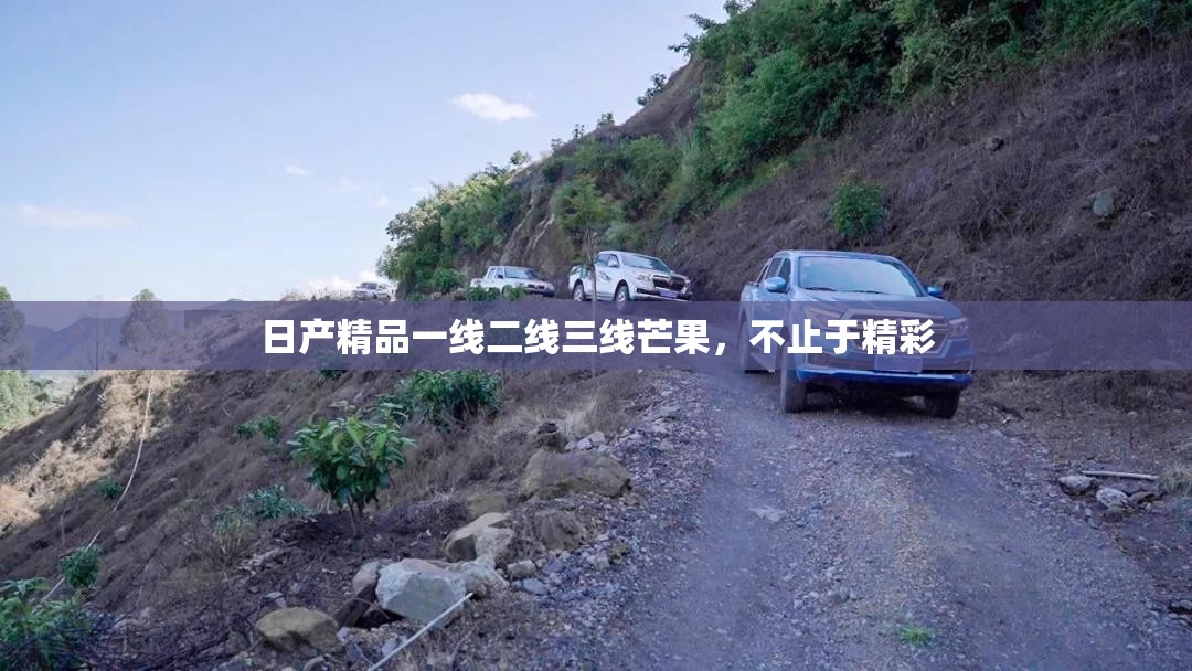 日产精品一线二线三线芒果，不止于精彩