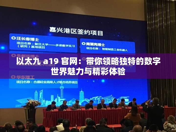 以太九 a19 官网：带你领略独特的数字世界魅力与精彩体验