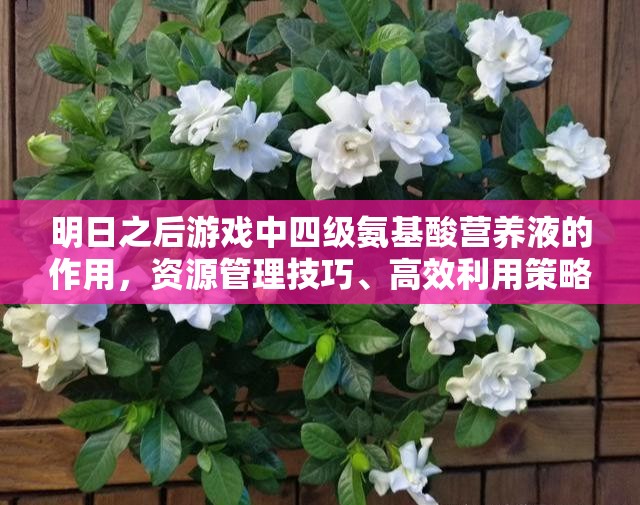 明日之后游戏中四级氨基酸营养液的作用，资源管理技巧、高效利用策略及避免浪费方法