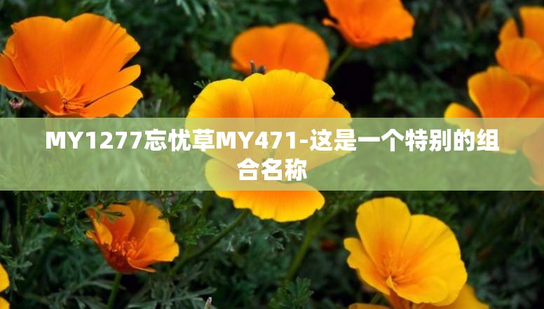 MY1277忘忧草MY471-这是一个特别的组合名称