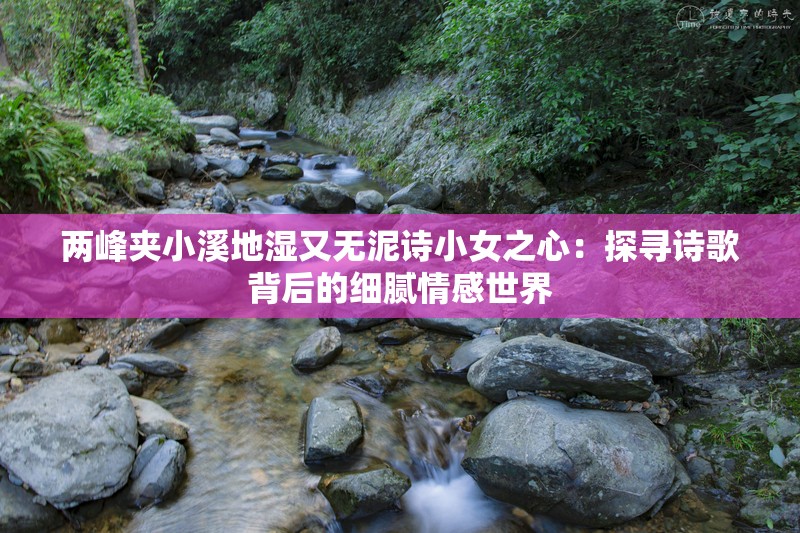 两峰夹小溪地湿又无泥诗小女之心：探寻诗歌背后的细腻情感世界