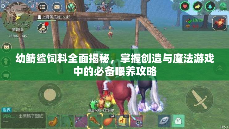 幼鲭鲨饲料全面揭秘，掌握创造与魔法游戏中的必备喂养攻略