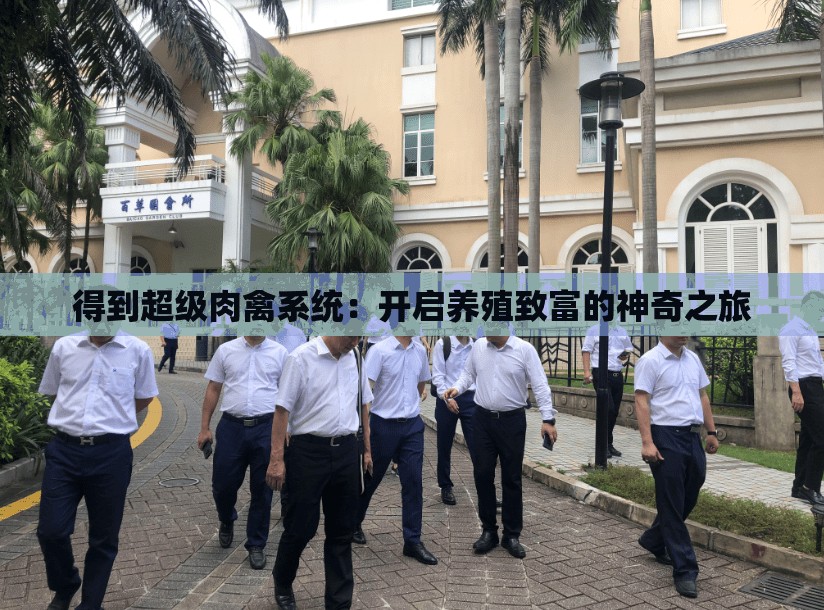 得到超级肉禽系统：开启养殖致富的神奇之旅