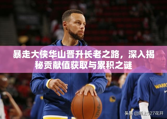 暴走大侠华山晋升长老之路，深入揭秘贡献值获取与累积之谜