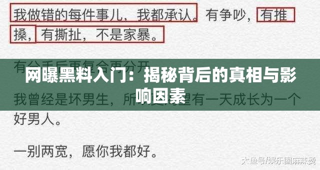 网曝黑料入门：揭秘背后的真相与影响因素