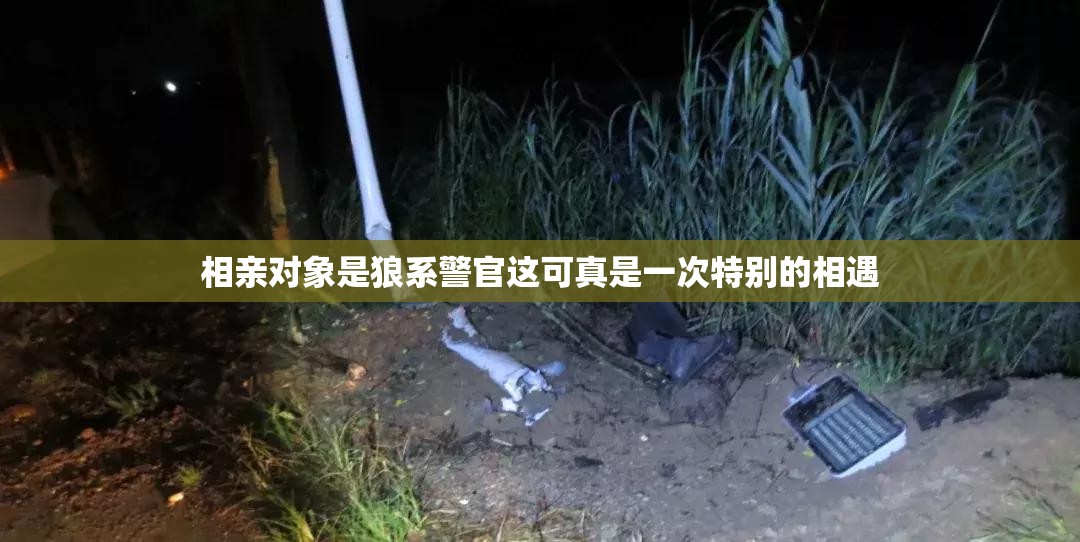 相亲对象是狼系警官这可真是一次特别的相遇