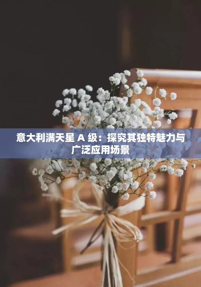 意大利满天星 A 级：探究其独特魅力与广泛应用场景